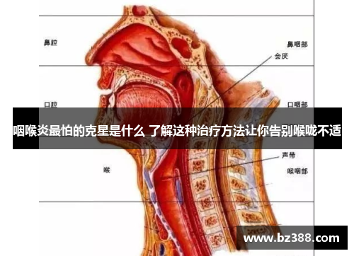 咽喉炎最怕的克星是什么 了解这种治疗方法让你告别喉咙不适