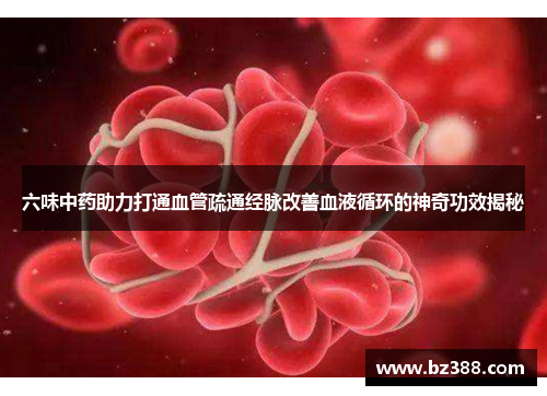 六味中药助力打通血管疏通经脉改善血液循环的神奇功效揭秘