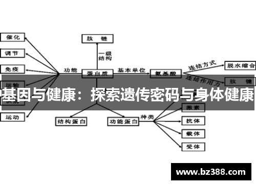 基因与健康：探索遗传密码与身体健康