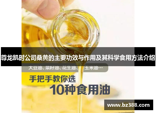 尊龙凯时公司桑黄的主要功效与作用及其科学食用方法介绍