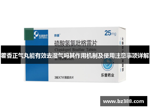 藿香正气丸能有效去湿气吗其作用机制及使用注意事项详解