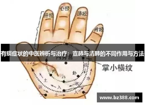 有痰症状的中医辨析与治疗：宣肺与清肺的不同作用与方法
